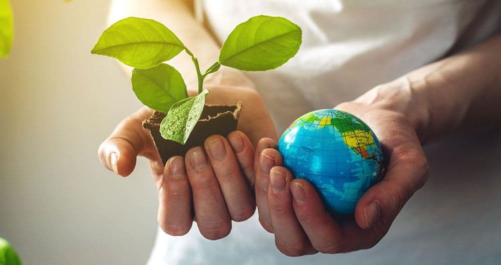 Imagen de la asignatura Economía Circular 