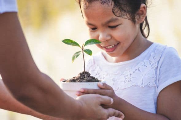 Foto de la asignatura Salud Ambiental