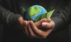 Foto de la asignatura Sostenibilidad Ambiental